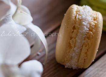 Daiquiri & Piña Colada Macarons